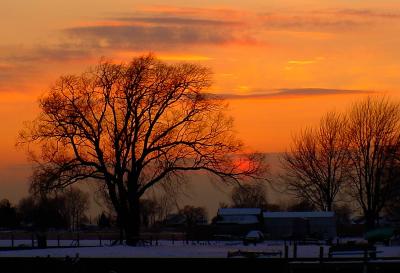 Orange Glow