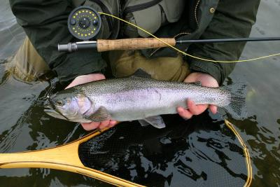 March 26, 2004 --- Bow River, Alberta