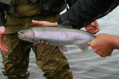 Bow River