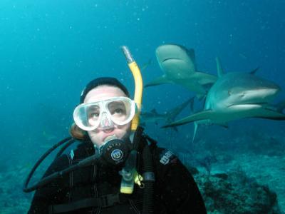 Kim  shark2.jpg