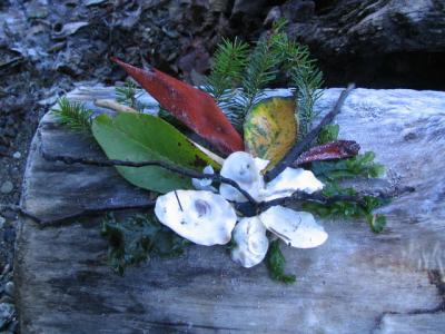 Sandi's Arrangement original