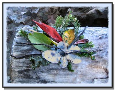 Sandis Arrangement