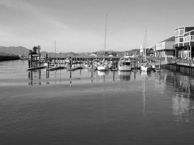 u42/knoxover/medium/40629524.CIMG0903copy.jpg
