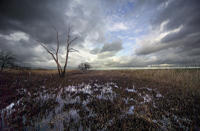 Royston's Ditch by Jono Slack