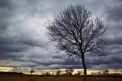 Storms over Little Sampford by Quentin Bargate