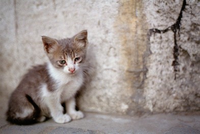 Lost in Istanbul, Turkey