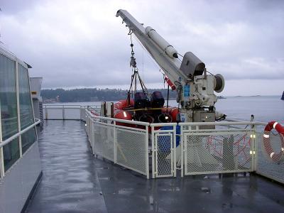 Rescue boat dual purpose davit