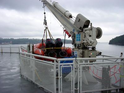 Rescue boat and life raft davit