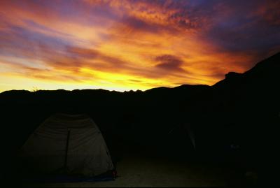 Dawn over Joshua Tree