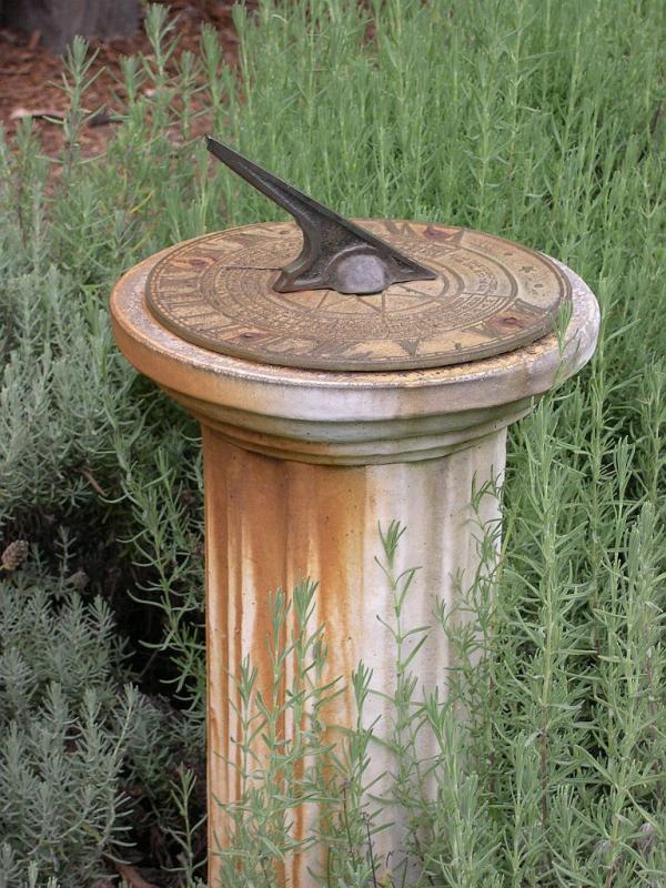 u42/laine82/large/39771742.LavenderTime.notThyme.jpg