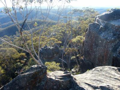 Du Faur Rocks, Mount Wilson