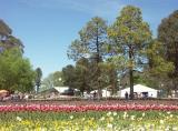 Last day at Floriade