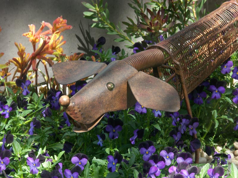 Floriade dog