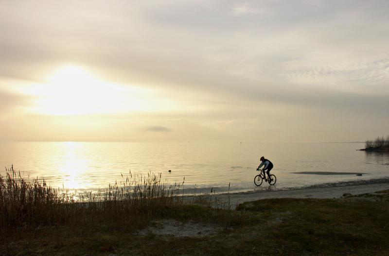 Bicycle Fun