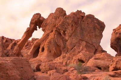 Elephant Rock