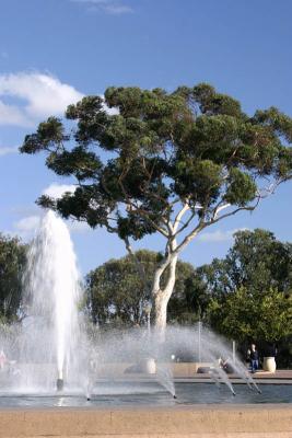 Fountain, Balboa Park