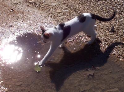 100_0209.JPG