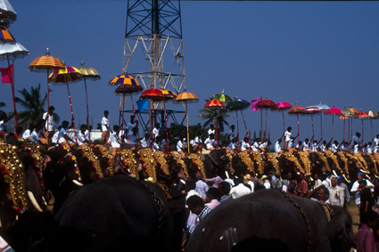 peopleIN1343_elephants.jpg