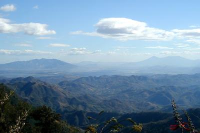 view from La Palma