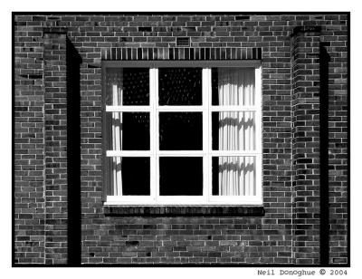 School Window