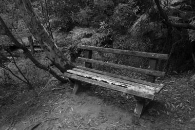 One of the old benches at the base of the cascades