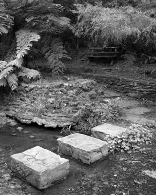 Stone steps and decaying bench