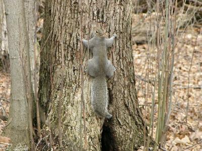 Spring 051a.jpg