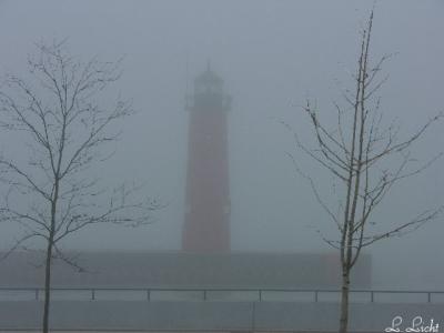 Foggy Day.jpg