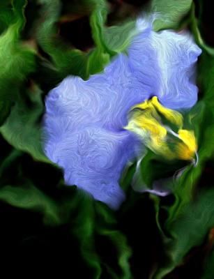 u42/lreneau76/medium/27290496.Swirl.jpg