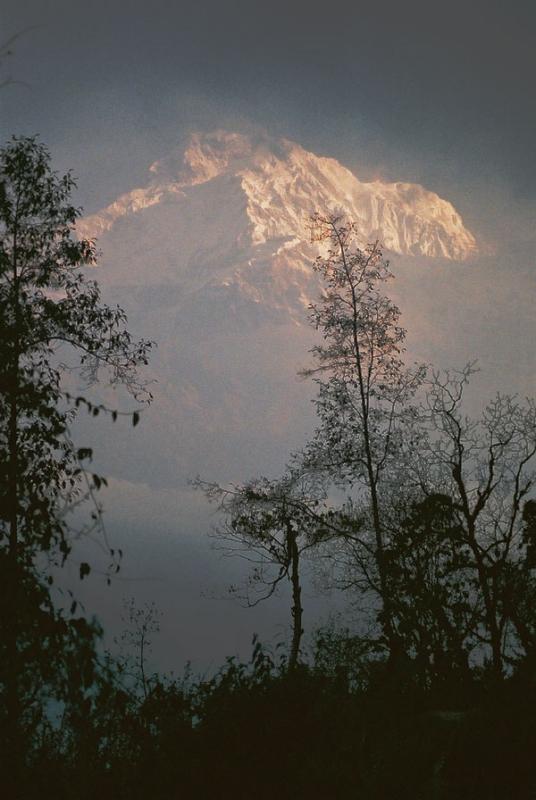 Nepal_Annapurna_Sanctuary02.jpg