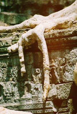 Cambodia 2004