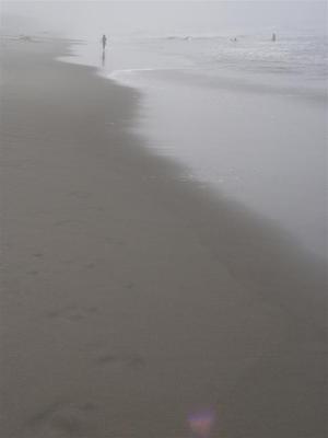 DSC09995 (Large).JPG