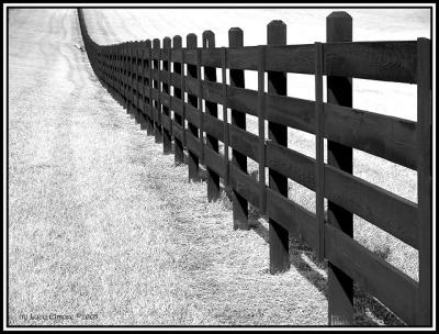 Fence.7831