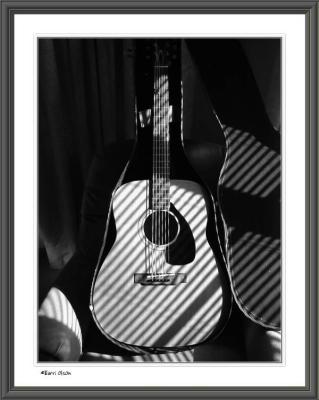 Guitar in Case with Venetian Shadows