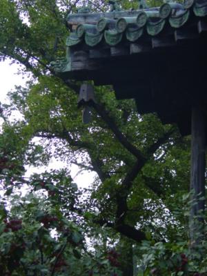 eaves