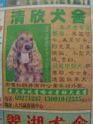 ad in paper