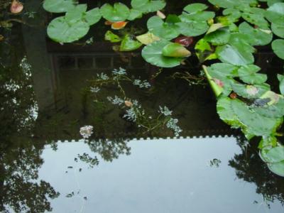 clear water
