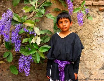wilbur with purple flowers, antigua, guatemala