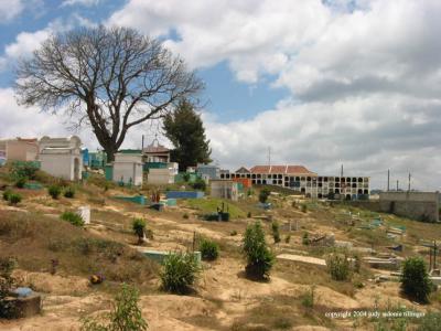 tree in cemetery, santiago sacatepequez, guatemala