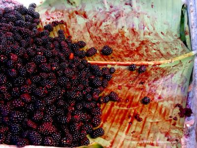 blackberries, santiago atitlan