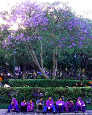 at the square, antigua, guatemala