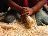 grinding corn, santa maria de jesus, guatemala