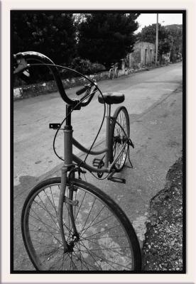 Daily Ride