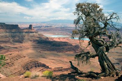 Canyonlands National Park and Dead Horse Point State Park