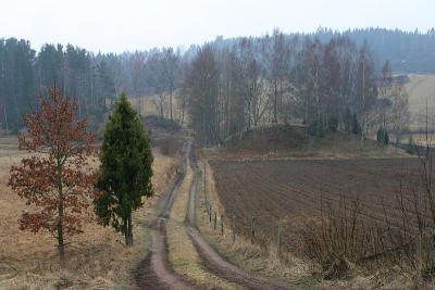 The country path