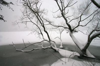 January of 2005