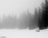 224-CRW_2436.jpg
