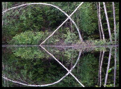 The Dark Pond (Challenge #12: On the Edge / Off Center)