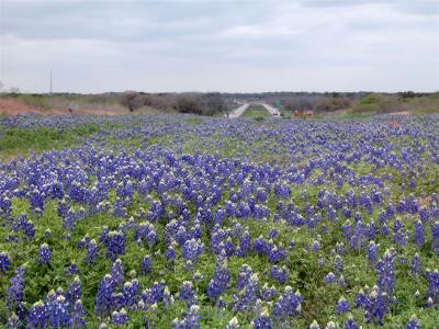 I-10
On the road to San Antonio
