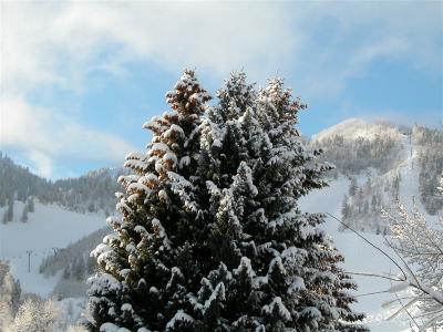 Aspen 2004 017.jpg